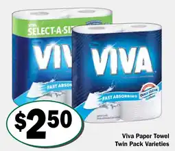 Friendly Grocer Viva Paper Towel Twin Pack Varieties offer