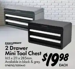 Bunnings CraftRight 2 Drawer Mini Tool Chest offer