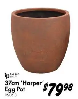 Bunnings tuscan path 37cm 'Harper' Egg Pot offer
