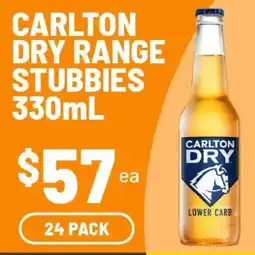 IGA Carlton Dry Range Stubbies offer
