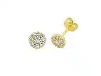 Bevilles Jewellery 9ct Yellow Gold Silver Infused Cubic Zirconia Flower Stud Earrings offer