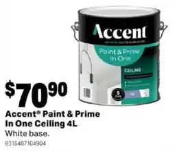 Mitre 10 Accent Paint & Prime In One Ceiling White base offer