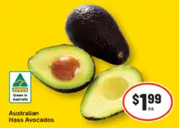 IGA Australian Hass Avocados offer