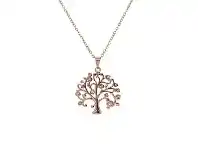 Bevilles Jewellery Rose Stainless Steel Crystal Tree of Life Necklace offer
