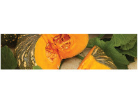 Foodworks Jap/ Kent Pumpkin offer