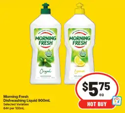 IGA Morning Fresh Dishwashing Liquid offer