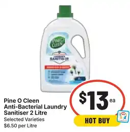 Ritchies Pine O Cleen Anti-Bacterial Laundry Sanitiser offer