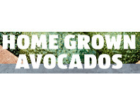 ALDI Home Grown Avocados offer