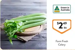 Foodworks Farm Fresh Celery offer