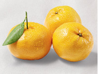Australian Imperial Mandarins Per Kg