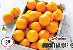 IGA Australian Murcott Mandarins offer