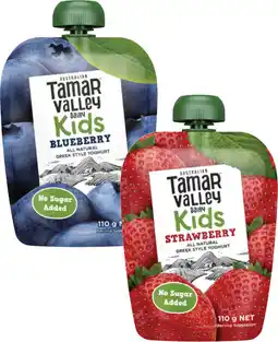 Coles Tamar Valley Dairy Kids Greek Style Yoghurt Pouch offer