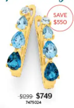 Angus & Coote Earrings offer