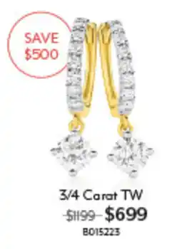 Angus & Coote Earrings offer