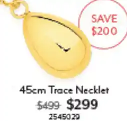 Angus & Coote 45cm Trace Necklace offer