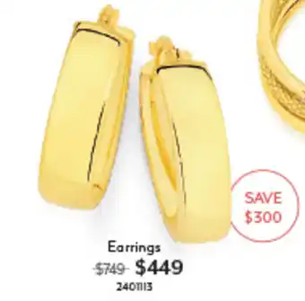 Earrings