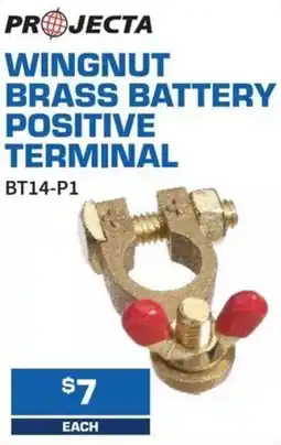 Burson Auto Parts Projecta Wingnut Brass Battery Positive Terminal offer