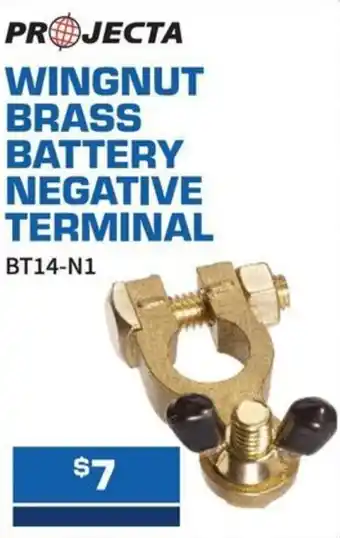 Projecta Wingnut Brass Battery Negative Terminal