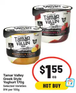 IGA Tamar Valley Greek Style Yoghurt offer