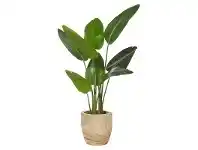 LivingStyles Dansk Potted Artificial Bird of Paradise, 118cm offer