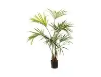 LivingStyles Artificial Kentia Palm, 150cm offer