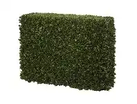 LivingStyles Artificial Box Leaf Hedge Screen, 100cm offer