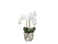 Artificial Phalaenopsis Orchid in Lucia Pot, Small
