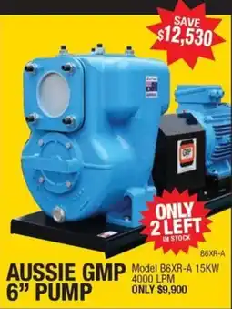 Aussie Pumps Aussie GMP 6" Pump offer