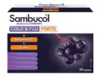 Chemist King Sambucol Cold & Flu Forte 24 Capsules offer