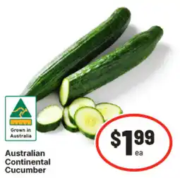 IGA Australian Continental Cucumber offer