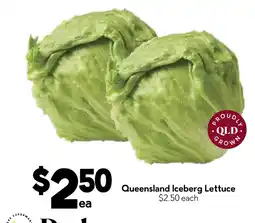 Drakes Queensland Iceberg Lettuce offer