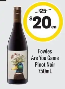 Coles Fowles Are You Game Pinot Noir offer