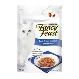Woolworths Fancy Feast Dry Cat Food offer