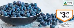 Foodworks Blueberries offer