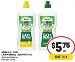 IGA Morning Fresh Dishwashing Liquid offer