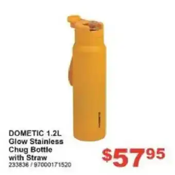 Dometic 1.2L Glow Stainless Chug Bottle with Straw