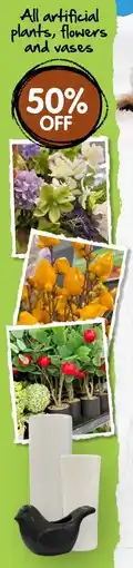 Spudshed All artificial plants, flowers and vases offer