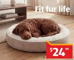 ALDI Fit fur life offer
