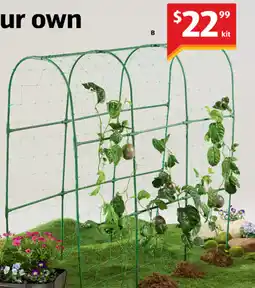 ALDI Trellis and Net Kit offer