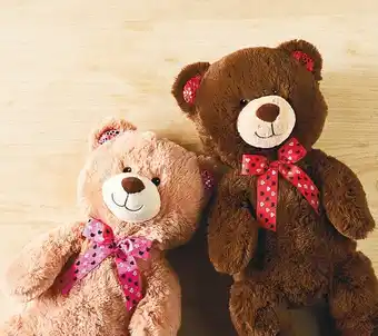 Valentine’s Day Giant Teddy Bear