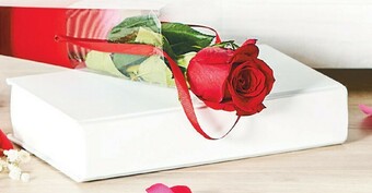 Woolworths Premium Single Stem Rose offer