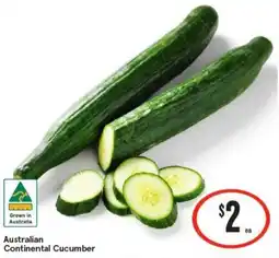 IGA Australian Continental Cucumber offer