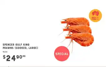 Spencer Gulf King Prawns
