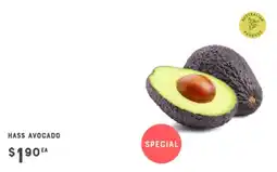Adelaide's finest Hass Avocado offer