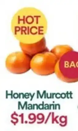 WHOLEFARMS Honey Murcott Mandarin offer