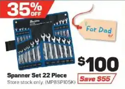 Repco Spanner Set 22 Piece offer