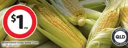 Coles Queensland Loose Sweet Corn offer