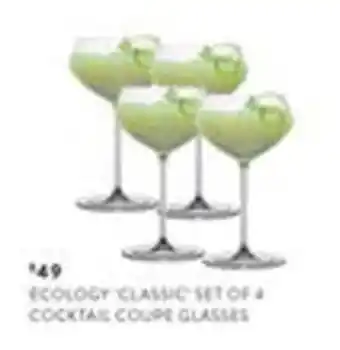 Ecology Classic Cocktail Coupe Glasses