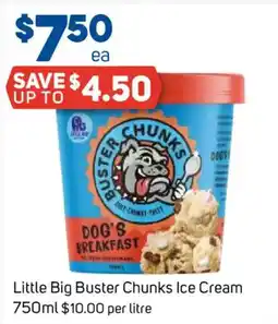Foodland Little Big Buster Chunks Ice Cream offer