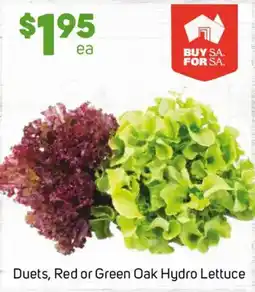 Foodland Duets, Red or Green Oak Hydro Lettuce offer
